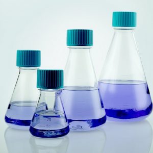 Erlenmeyer Flask